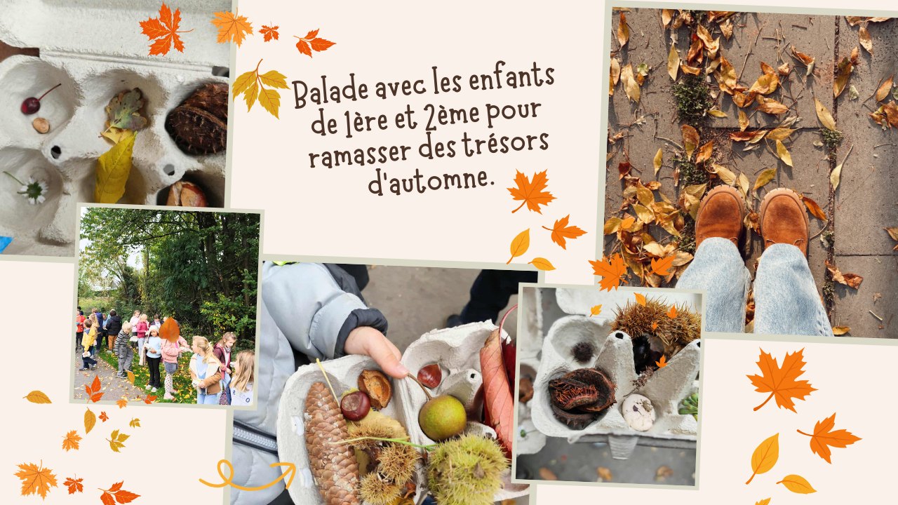 ballade nature ballade nature ecole Jean-Paul II